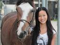 Trakehner Philippa