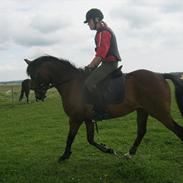 DSP Bijou Rålundhus