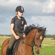 DSP Bijou Rålundhus