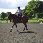 Anden særlig race East Boy