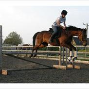 Anden særlig race East Boy