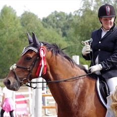 Anden særlig race Marcus