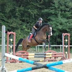 Trakehner High Skye *STJERNE* <3 R.I.P 25/03/2013