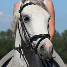 Anden særlig race Batman