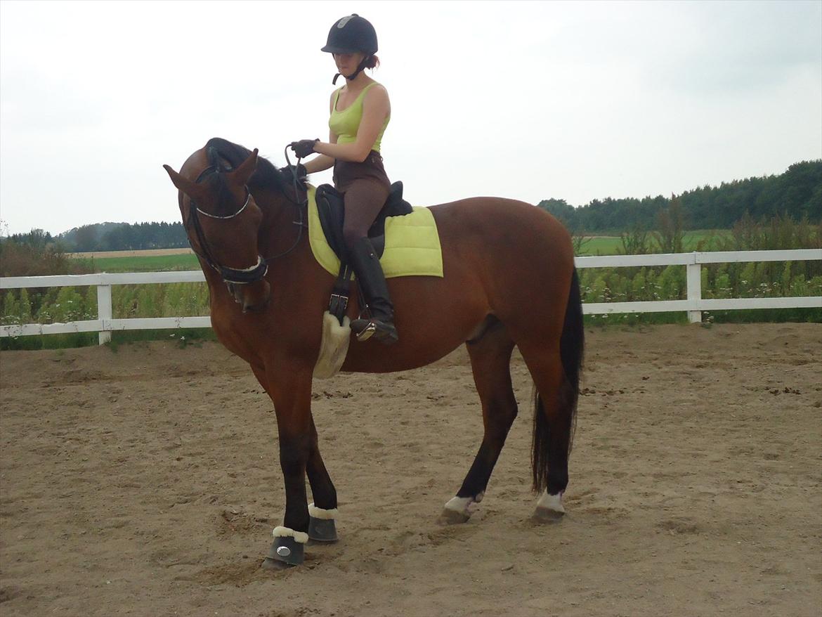 Oldenborg Cappútino RIP - 24/8-2011 billede 4