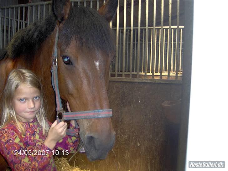 Hollandsk Sportspony Lukas R.I.P [Tidl. Hest] - Det føles som hundrede år siden, du kom hjem til os på ADSK:'(
Nu er du på de evige græsmarker!:'( billede 15