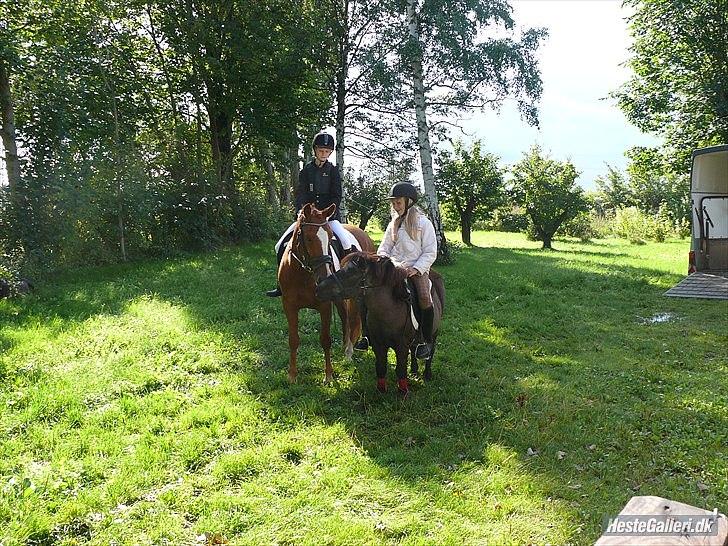 Anden særlig race Ravnsagergaards Torino - Mulle og Torino kysser :-P 

Foto: Far, med Helenas kamera billede 17