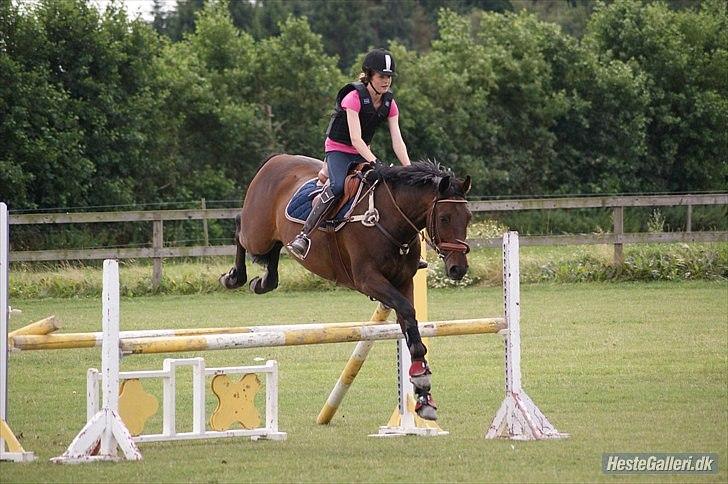 Oldenborg Prins Hamlet 387 † R.I.P † - Min seje springer <3 Træning hos Wesley. © Foto: LJ-Foto  billede 8