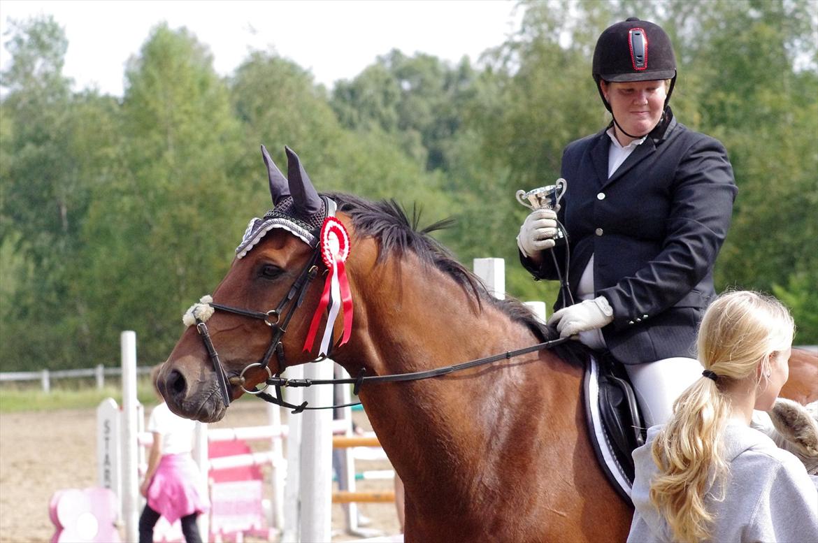 Anden særlig race Marcus billede 1