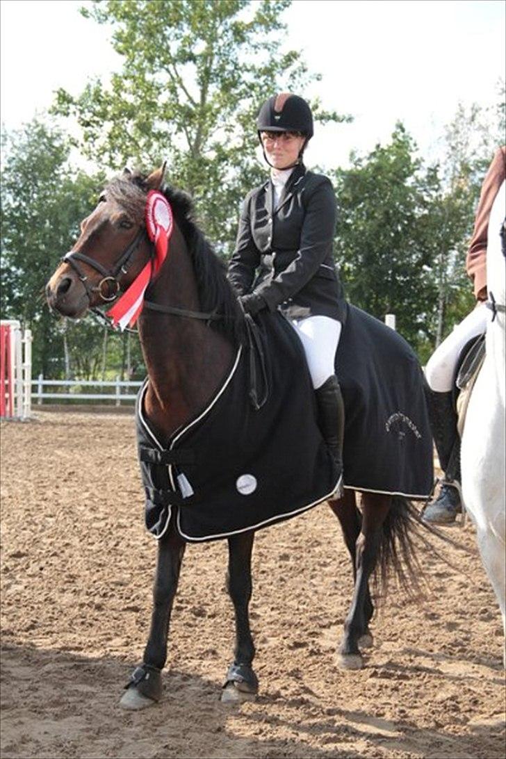 Connemara Camellia B-pony - Distriktsmester i springning for kat. 2 2011! billede 15