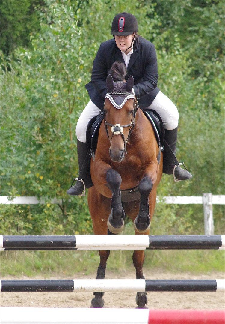 Anden særlig race Marcus billede 4