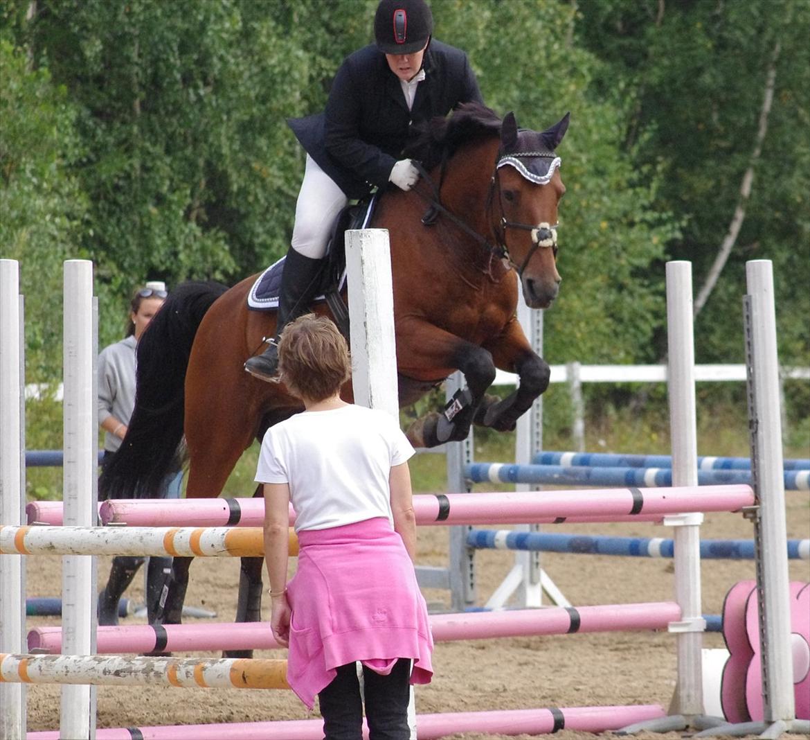 Anden særlig race Marcus billede 5