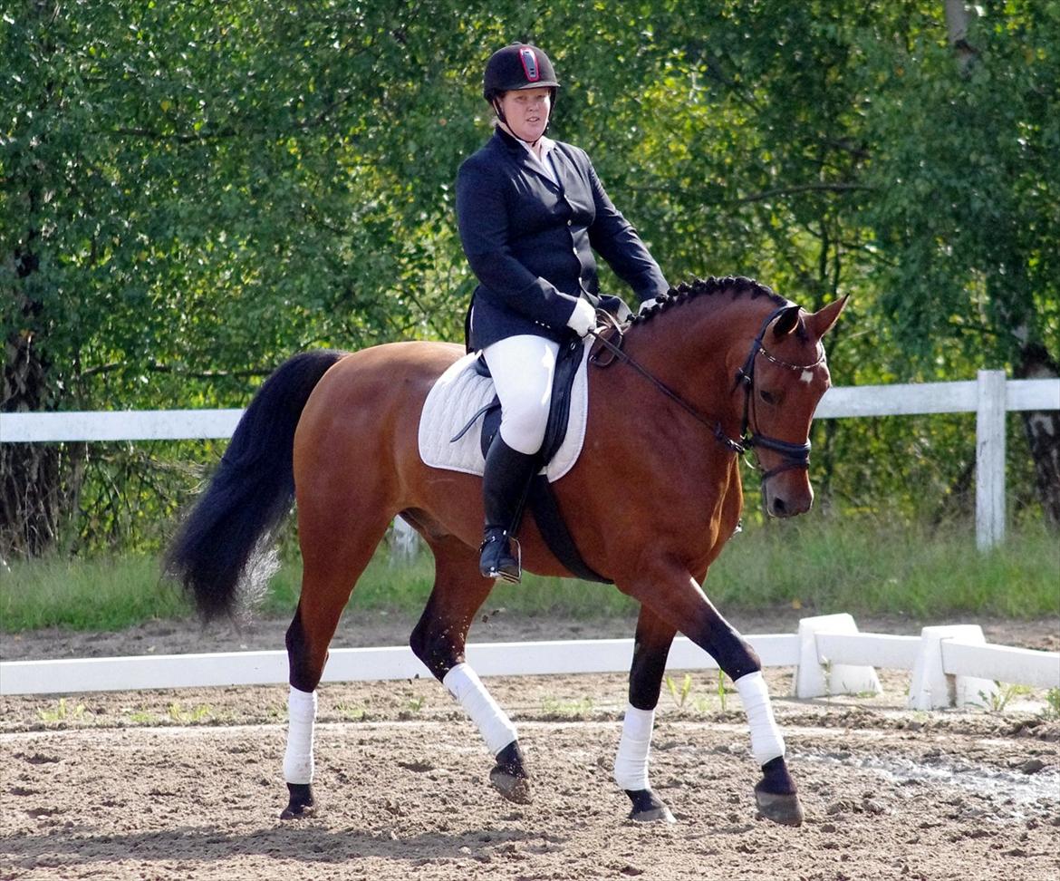 Anden særlig race Marcus billede 9