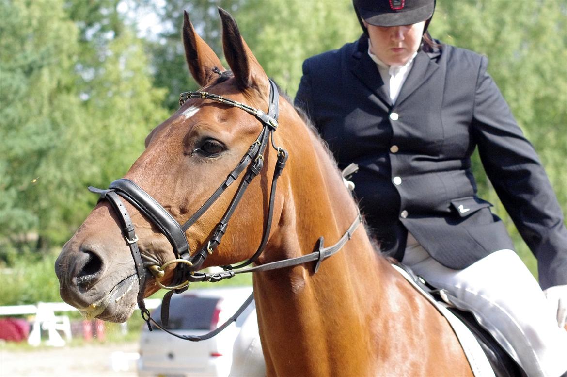 Anden særlig race Marcus billede 11
