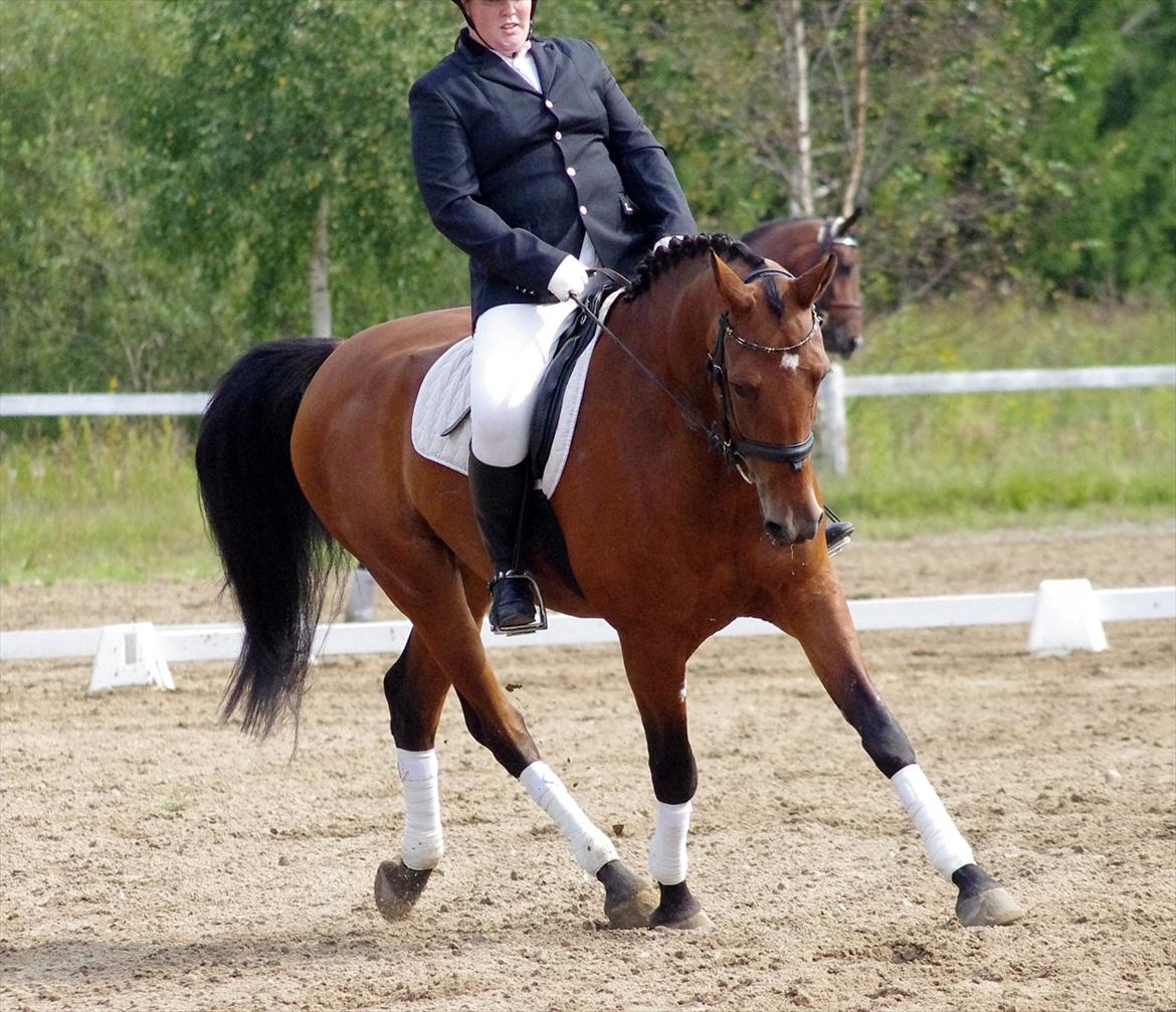 Anden særlig race Marcus billede 13