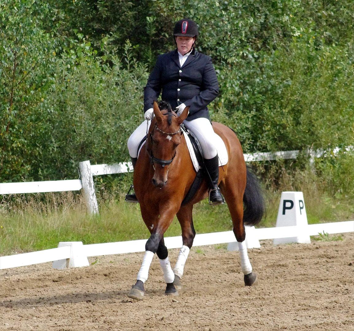 Anden særlig race Marcus billede 15