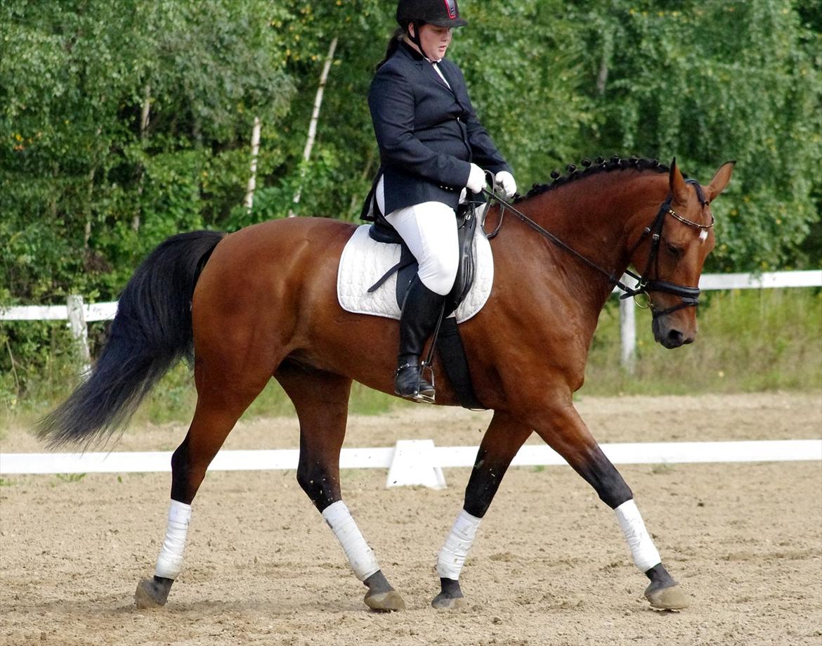 Anden særlig race Marcus billede 18