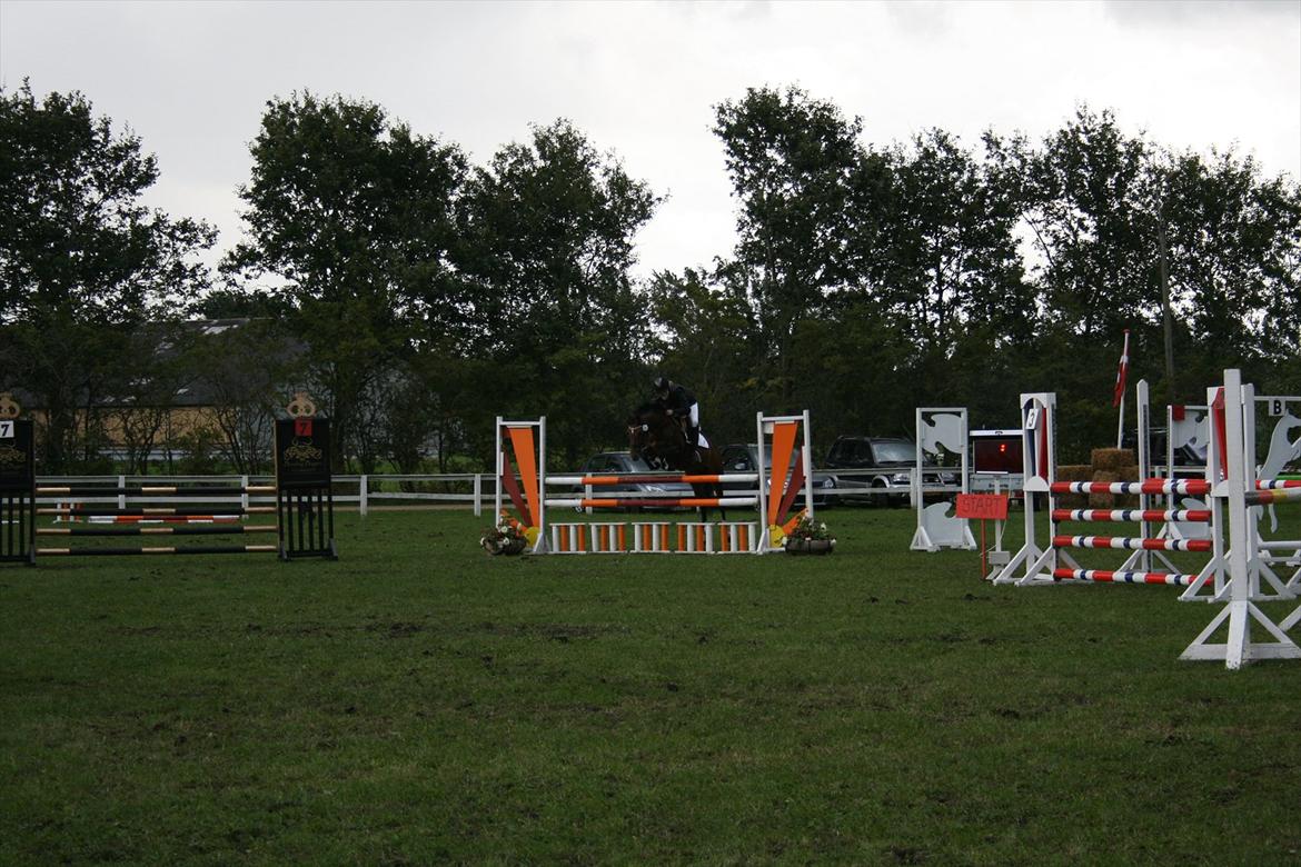 DSP Røgild's Artax billede 12