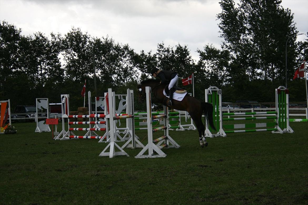 DSP Røgild's Artax billede 13