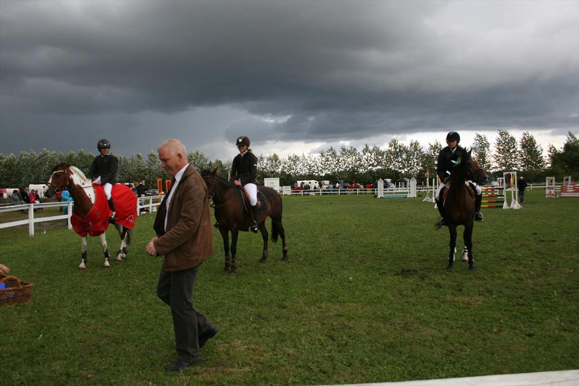 DSP Røgild's Artax billede 14