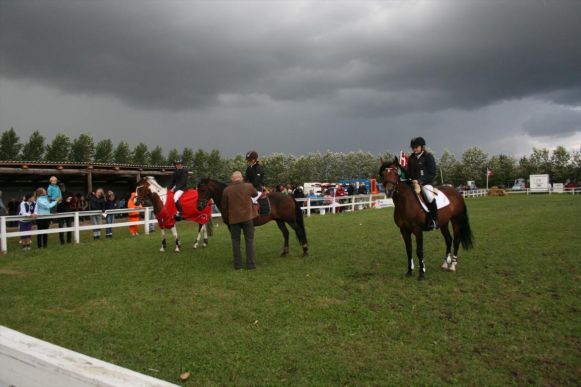 DSP Røgild's Artax billede 15