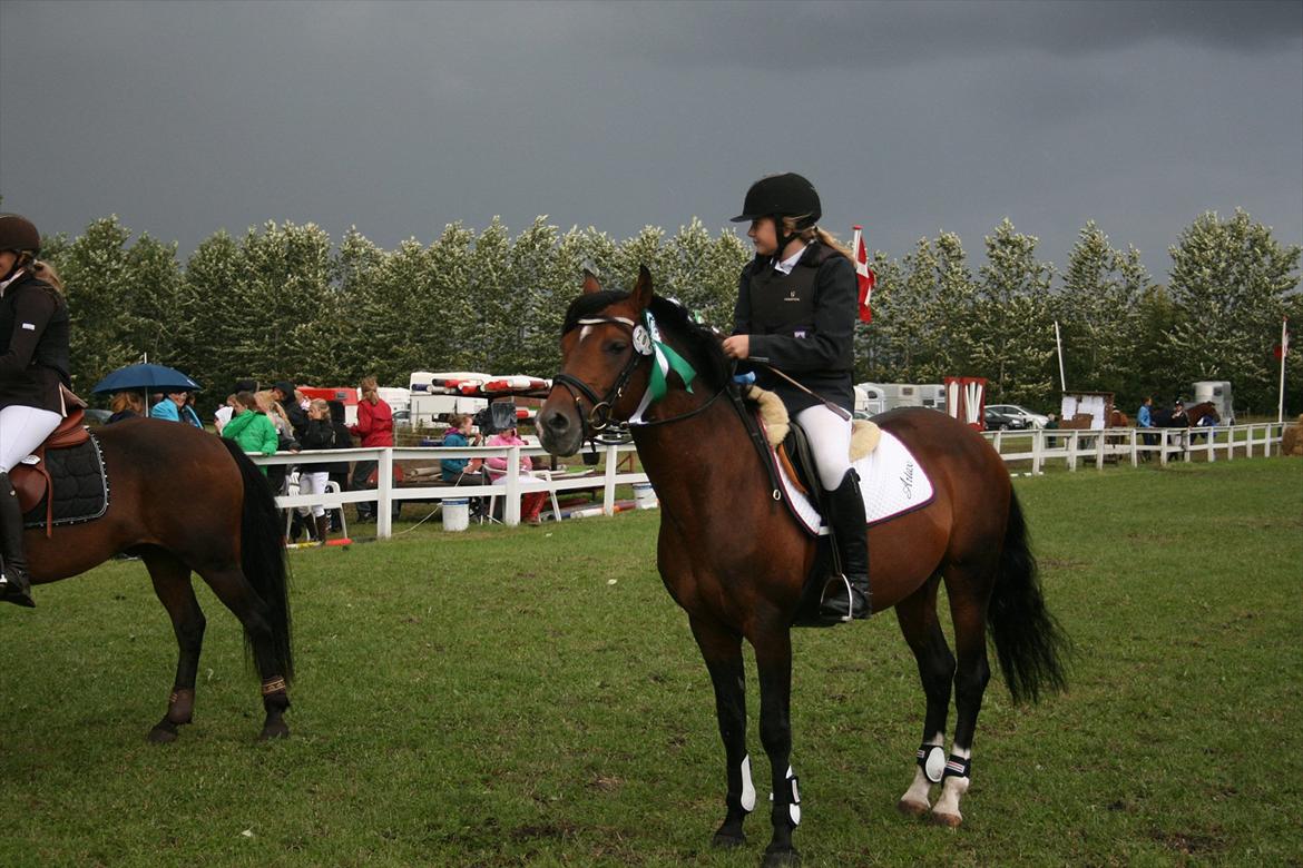 DSP Røgild's Artax billede 16