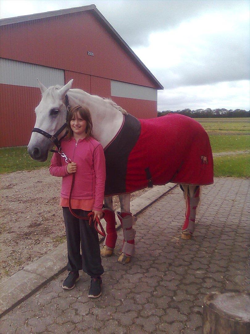 Anden særlig race Spice Girl - Dagen hvor jeg hentede hende. Den bedste dag nogensinde billede 1