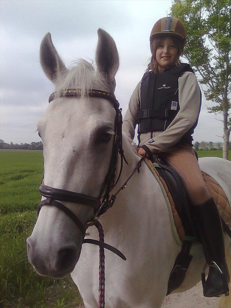 Anden særlig race Spice Girl - En af de første rideture på hende billede 3