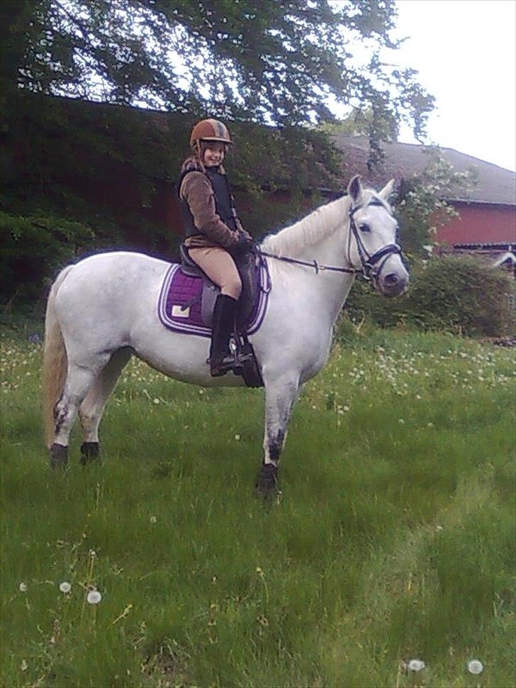 Anden særlig race Spice Girl - Her prøve rider jeg Spice billede 4