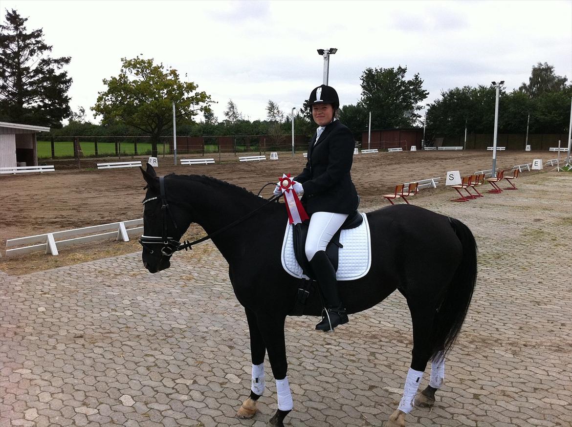 Dansk Varmblod Acacia Hardsyssel - Vores første stævne billede 14