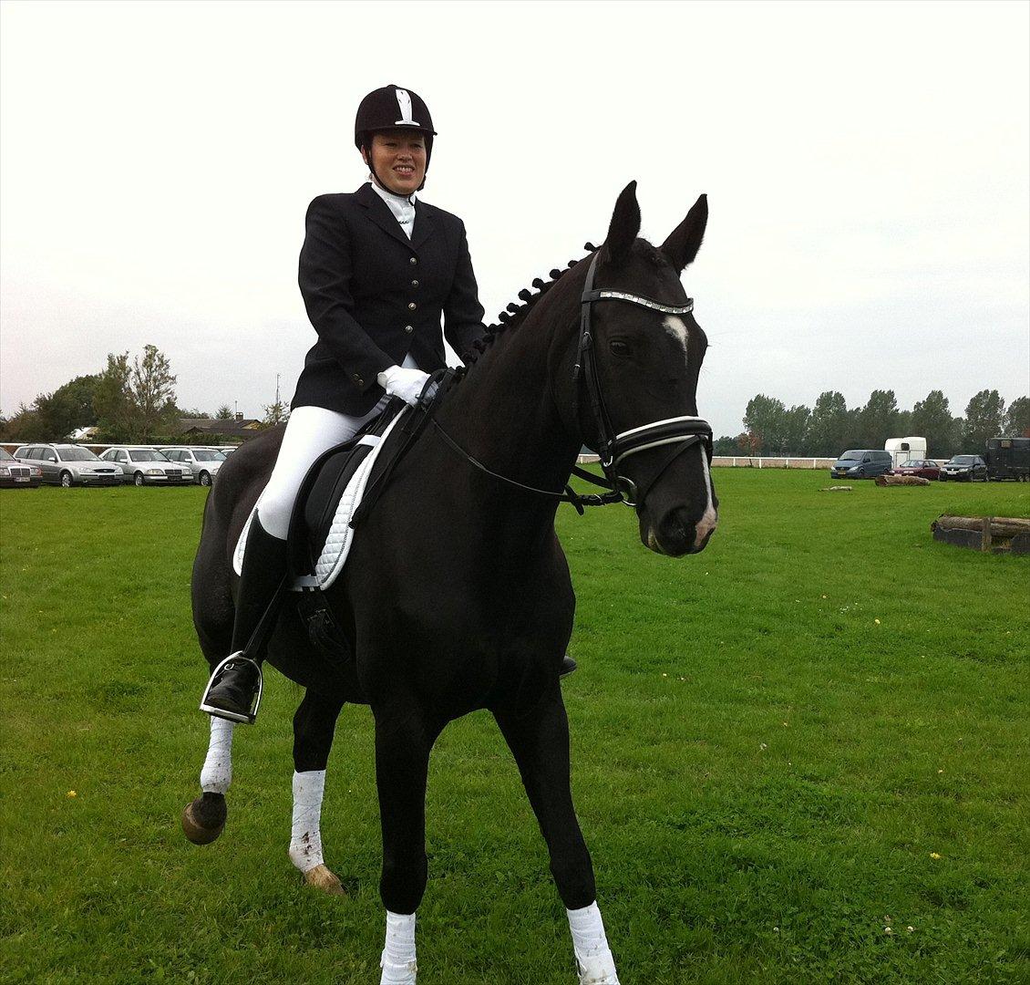 Dansk Varmblod Acacia Hardsyssel billede 15