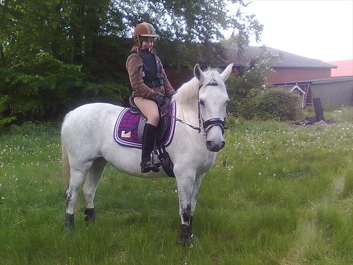 Anden særlig race Spice Girl billede 6