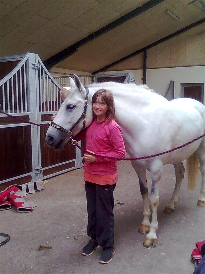 Anden særlig race Spice Girl - Lige ankommet til Stald Falk billede 8