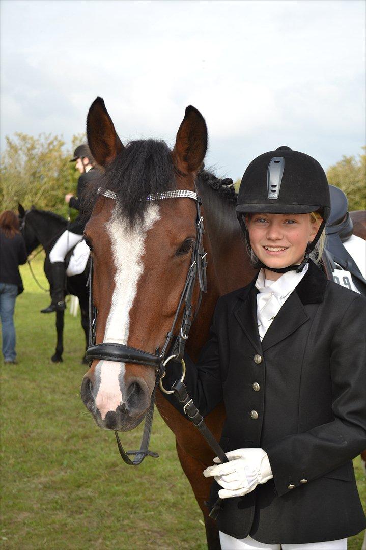 Hollandsk Sportspony Uptown Girl - Søde pony, inden præmieoverrækkelse (-: billede 2