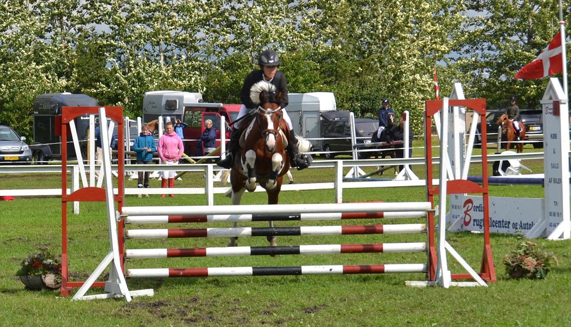 Hollandsk Sportspony Marloes- B-Pony  - LA - 2.plads. billede 11