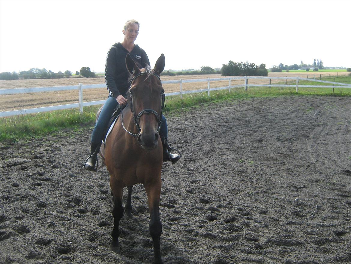 Traver Kimo billede 8