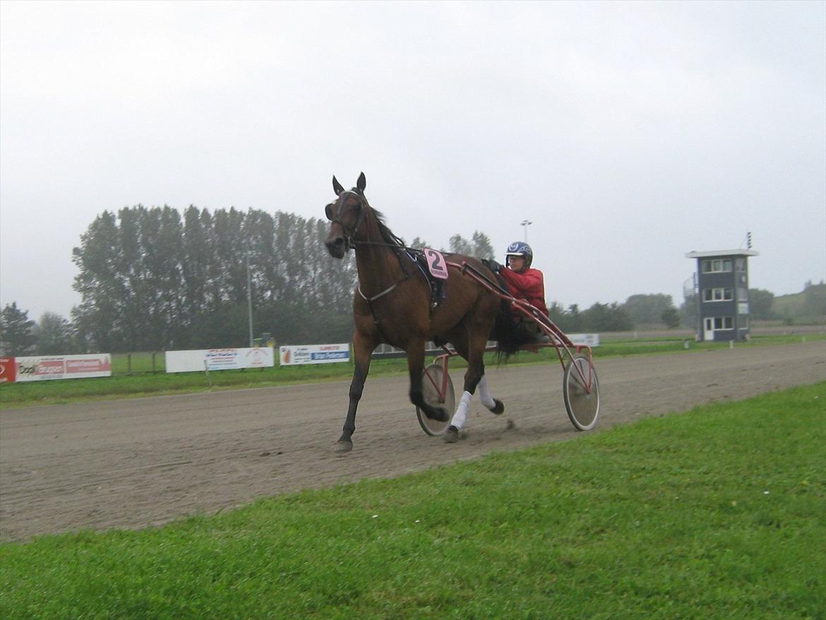 Traver Kimo billede 10