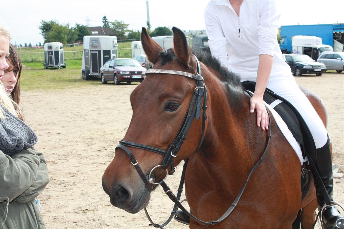 Anden særlig race Charley - <3 Foto Sofie billede 5