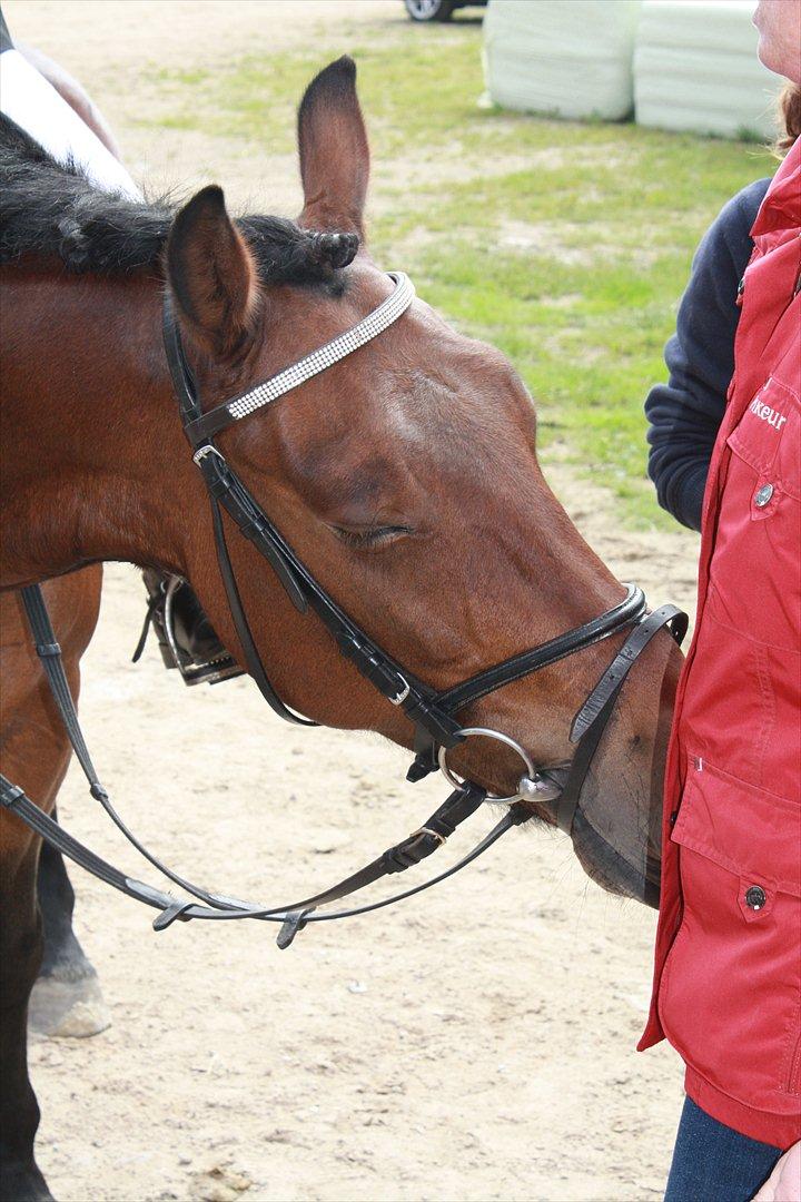 Anden særlig race Charley - <3 Foto Sofie  billede 19