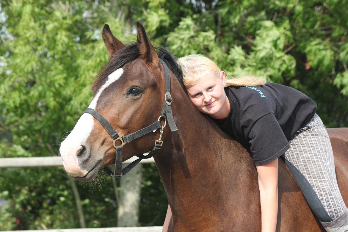 Anden særlig race Marquis (Grisen) R.I.P billede 17