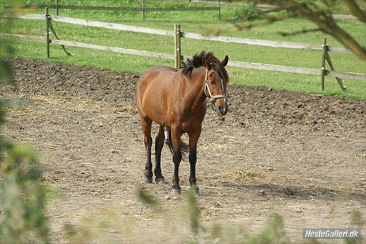 Anden særlig race *Chivas min basse, savner dig* - Taaak, fordi at du kiggede med. Lig gerne en kommentar og bedømmelse, inden du går:-)

-Taaak, på forhånd❤❤.

-Taaak, på forhånd!:-* billede 18