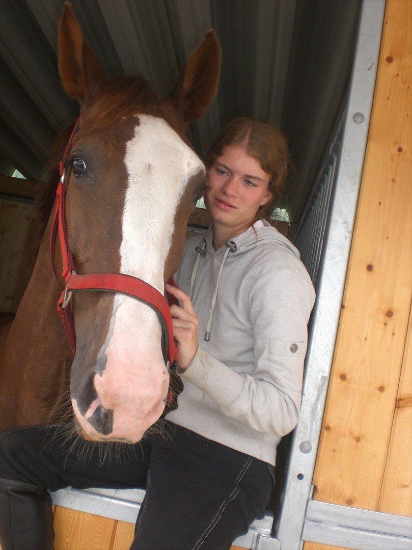 Hollandsk Varmblod WERONICA - elsker dig så højt <3 et billede der siger mere end tusind ord. !  billede 13