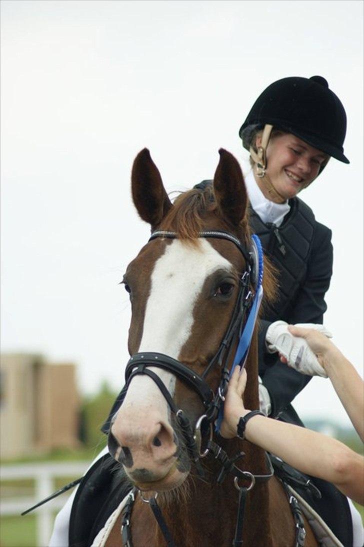 Hollandsk Varmblod WERONICA - 2plads i lb. ;) loveyou billede 15