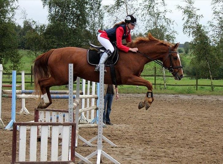 Dansk Varmblod Thekla - let som ingen ting over første spring i LB** :-D.. billede 4