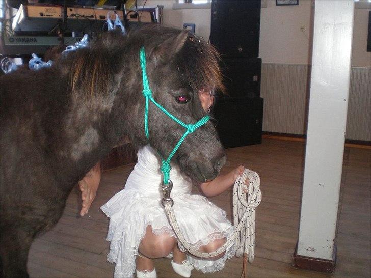 Miniature Blobber - Blobber kom forbi til min konfirmation d 24 april han var en sangskjuler :`) jeg blev så overrasket da han kom :`D<3 billede 20