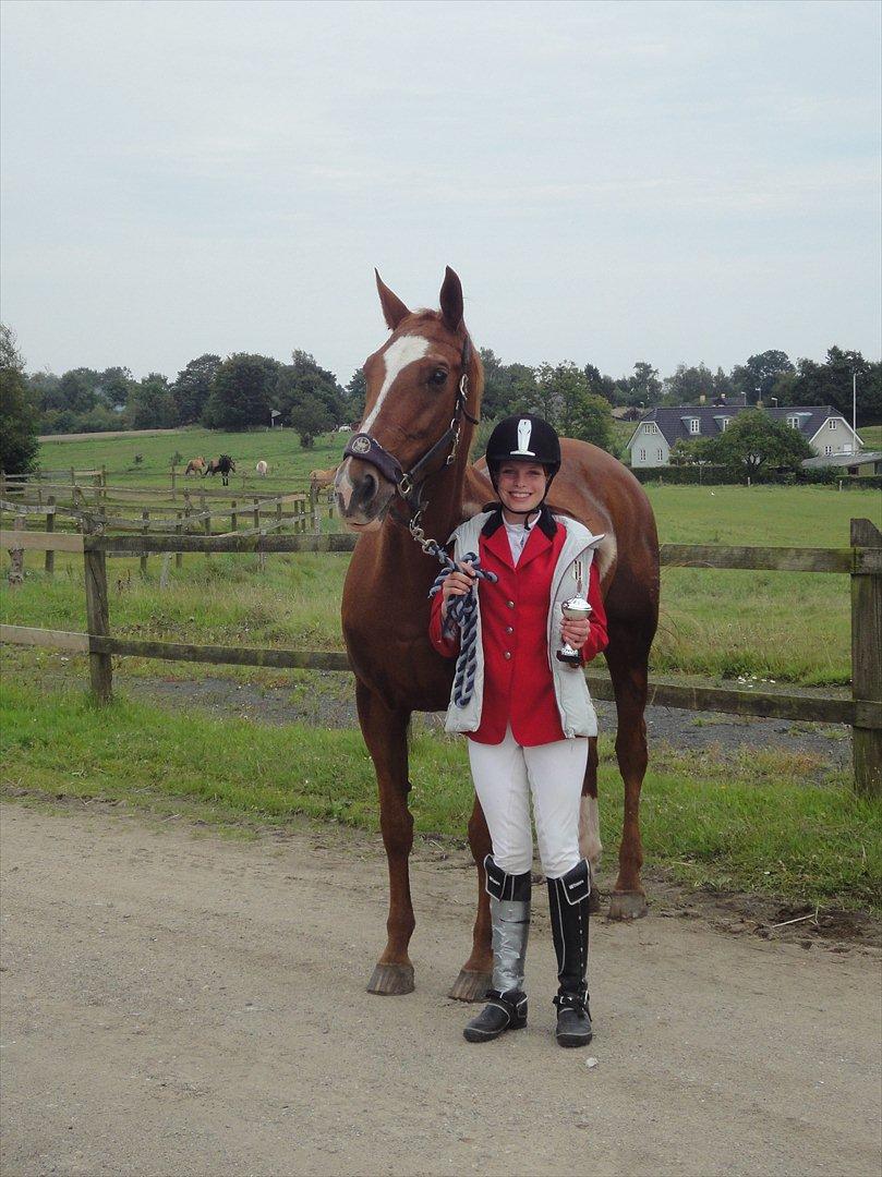 Dansk Varmblod Thekla - Samlet nummer to i farmlandcuppen. Tak fordi I tog jer tid til at kigge på min profil. :-) billede 15