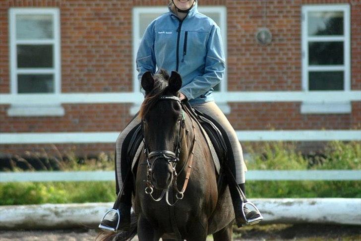 Pinto Thor<3 billede 4