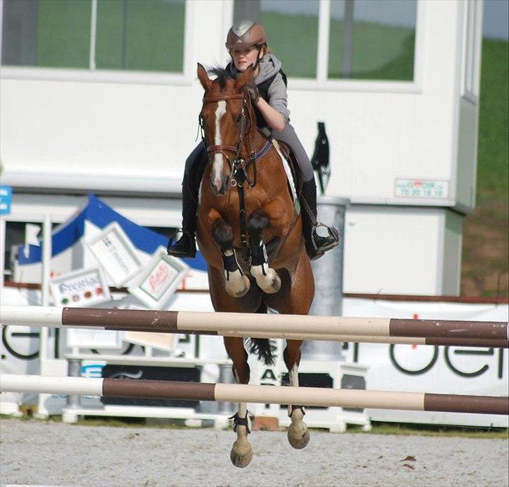 Anden særlig race Flying Duchess - træningsuge:-) billede 4