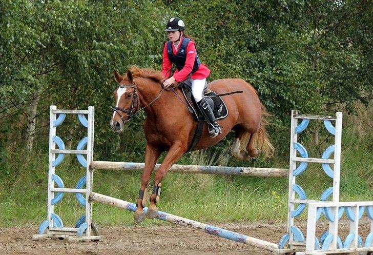 Dansk Varmblod Thekla - :-D.. billede 7