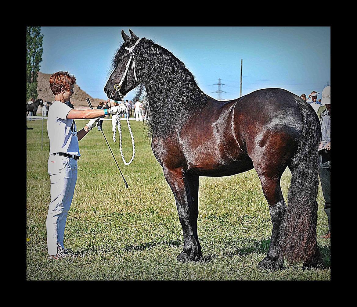 Frieser Coco billede 22